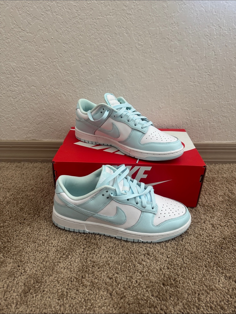 Nike Dunk Low Ice Blue and White
